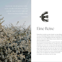 Mittsommer E-Book: Rituale zur Sommersonnenwende