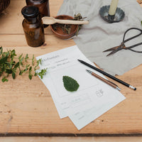 Herbarium - Vorlage DIN A5 zum Ausdrucken