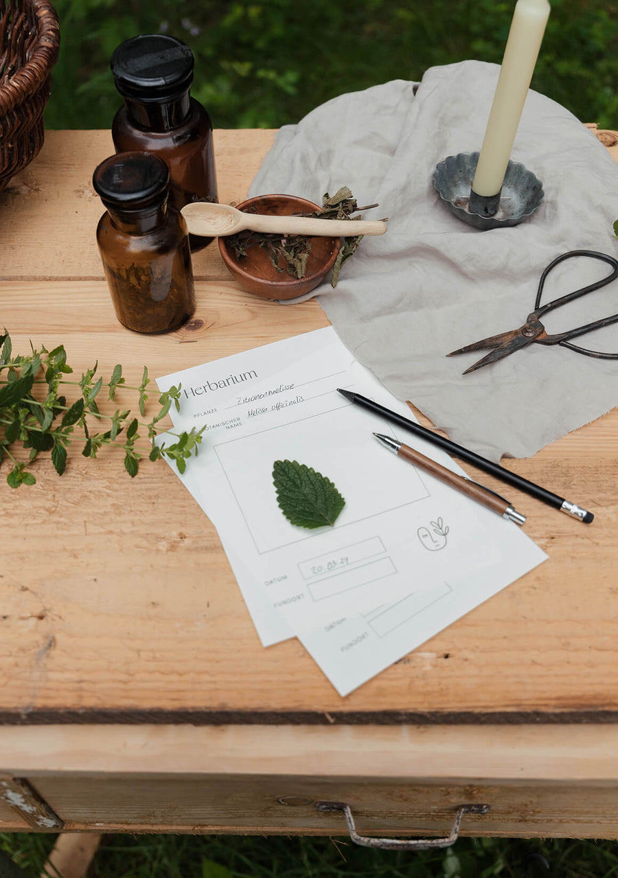 Herbarium - Vorlage DIN A5 zum Ausdrucken