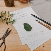 Herbarium - Vorlage DIN A5 zum Ausdrucken