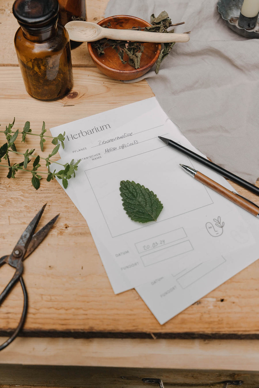 Herbarium - Vorlage DIN A5 zum Ausdrucken