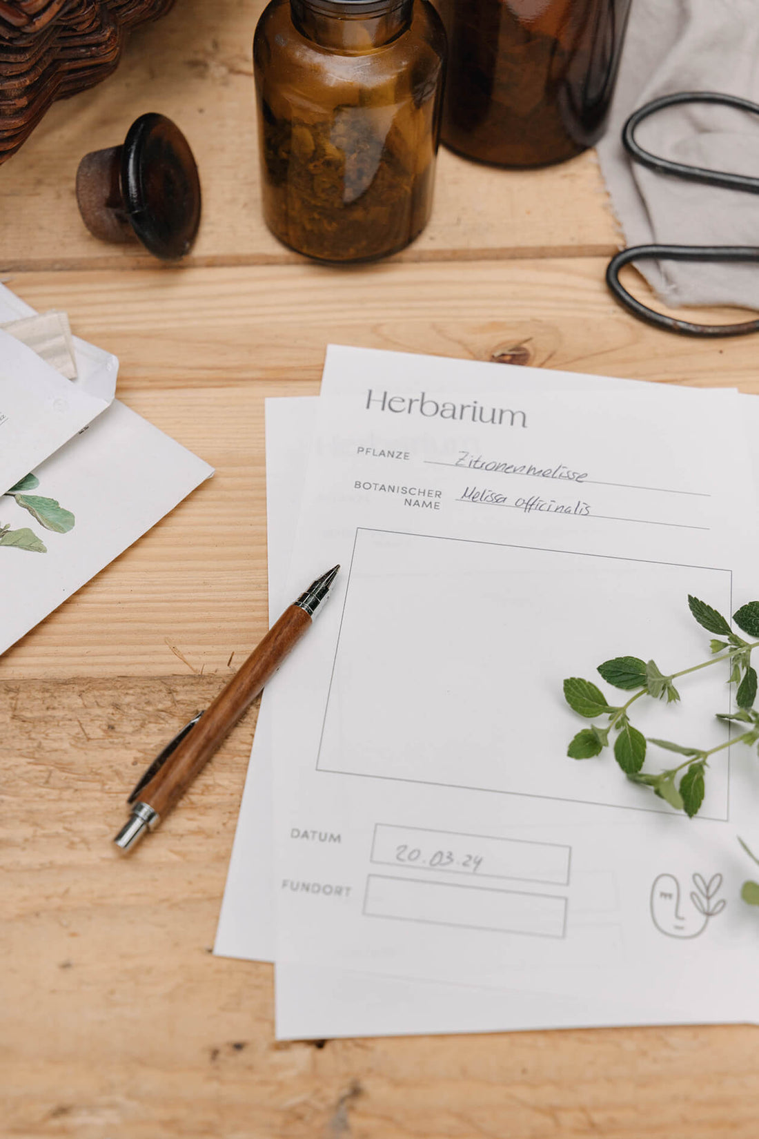 Herbarium - Vorlage DIN A5 zum Ausdrucken